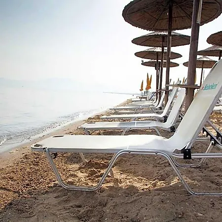 호텔 Almira